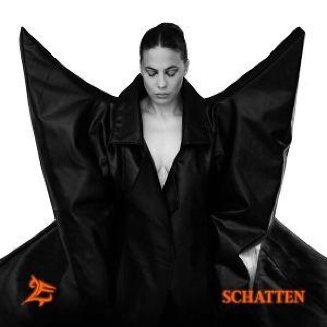 Produktbild: Schatten & Licht (Schatten Box)