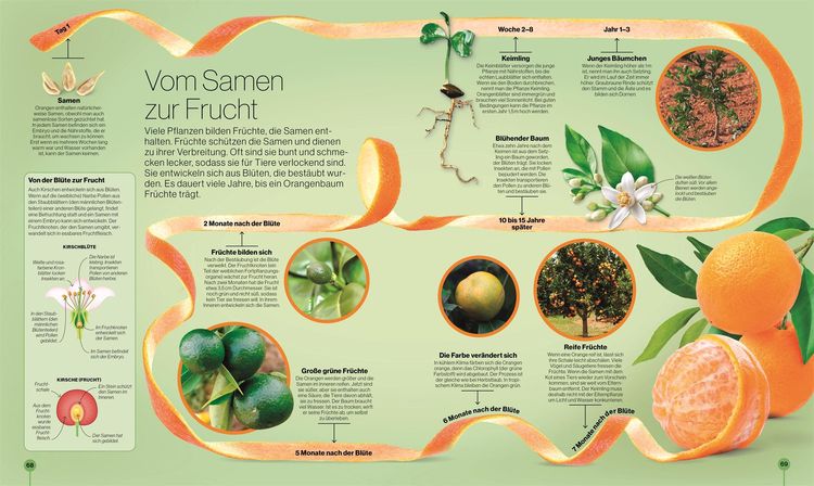 Produktbild: Reise durch die Natur