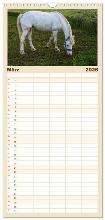 Produktbild: Familienplaner 2026 - Pferde - kraftvolle Eleganz mit 5 Spalten (Wandkalender, 21 x 45 cm) CALVENDO