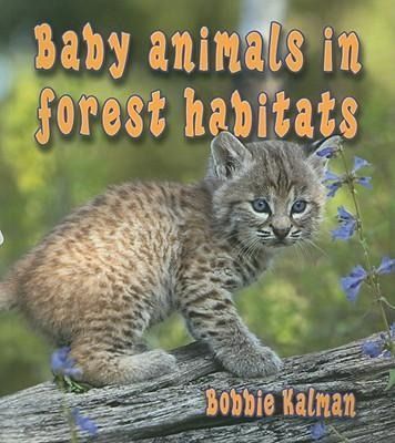 Produktbild: Baby Animals in Forest Habitats