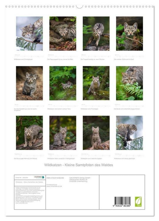 Produktbild: Wildkatzen - Kleine Samtpfoten des Waldes (hochwertiger Premium Wandkalender 2026 DIN A2 hoch), Kunstdruck in Hochglanz