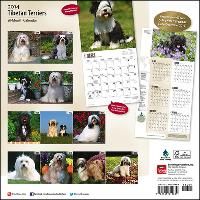Produktbild: Tibetan Terriers Calendar