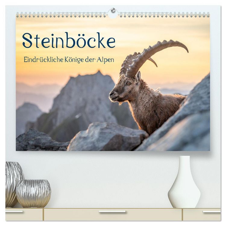 Produktbild: Steinb&ouml;cke - Eindr&uuml;ckliche K&ouml;nige der Alpen (hochwertiger Premium Wandkalender 2026 DIN A2 quer), Kunstdruck in Hochglanz