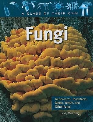 Produktbild: Fungi: Mushrooms, Toadstools, Molds, Yeasts, and Other Fungi