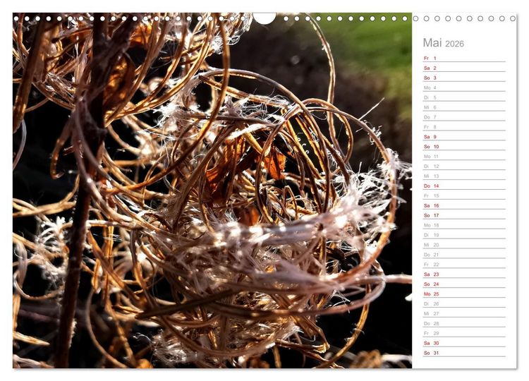 Produktbild: Abstrakte Umwelt (Wandkalender 2026 DIN A3 quer), CALVENDO Monatskalender