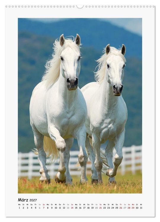 Produktbild: Lippizaner Poesie. Edle Pferde zum Tr&auml;umen und Verlieben (hochwertiger Premium Wandkalender 2027 DIN A2 hoch), Kunstdruck in Hochglanz