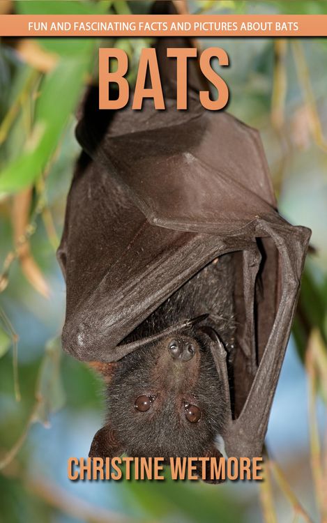 Produktbild: Bats - Fun and Fascinating Facts and Pictures About Bats