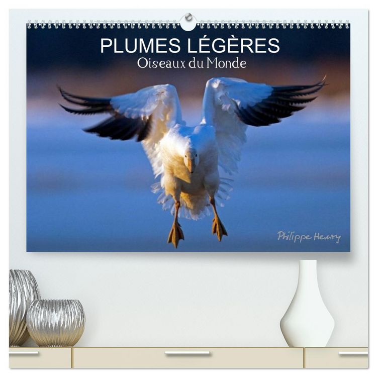 Produktbild: PLUMES L&Eacute;G&Egrave;RES. Oiseaux du Monde (Calendrier mural 2026 DIN A2 vertical) calendrier de bureau