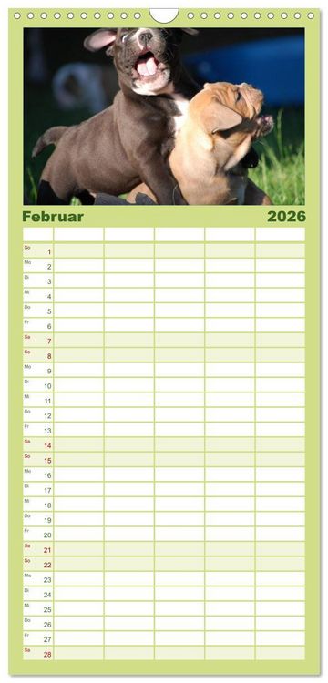 Produktbild: Familienplaner 2026 - Bulldoggen-Kinder mit 5 Spalten (Wandkalender, 21 x 45 cm) CALVENDO