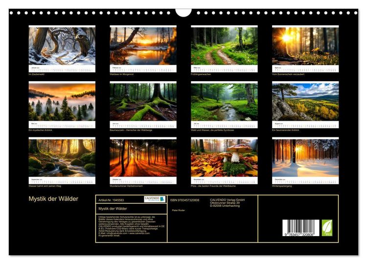 Produktbild: Mystik der W&auml;lder (Wandkalender 2026 DIN A3 quer), CALVENDO Monatskalender