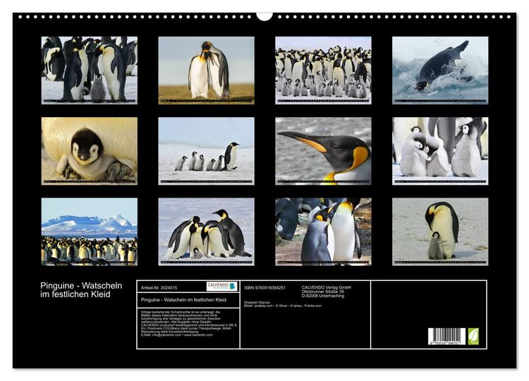 Produktbild: Pinguine - Watscheln im festlichen Kleid (Wandkalender 2026 DIN A2 quer), CALVENDO Monatskalender