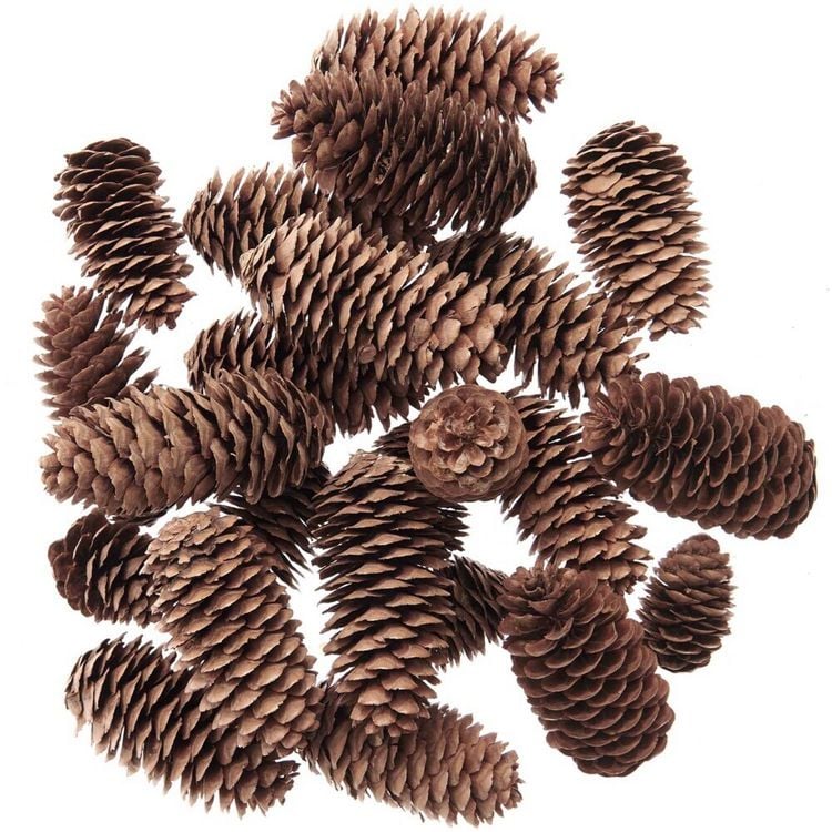 Produktbild: Fichtenzapfen natur 200g