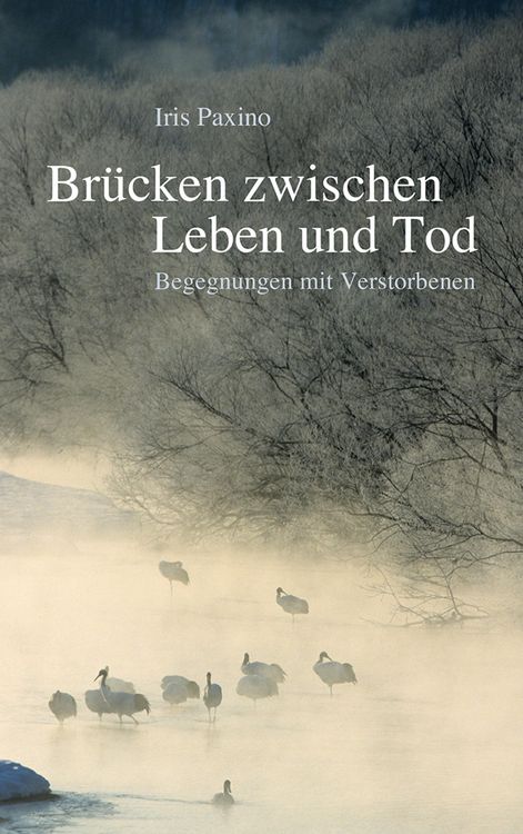 Produktbild: Br&uuml;cken zwischen Leben und Tod