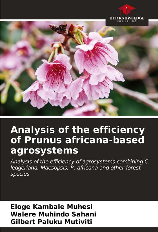 Produktbild: Analysis of the efficiency of Prunus africana-based agrosystems