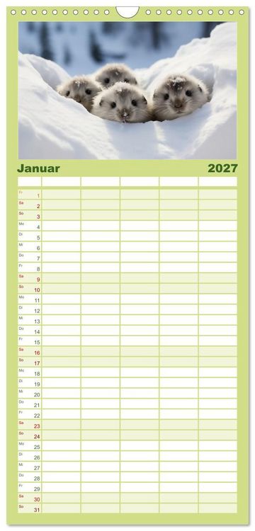 Produktbild: Familienplaner 2027 - Nach Art der Lemminge mit 5 Spalten (Wandkalender, 21 x 45 cm) CALVENDO