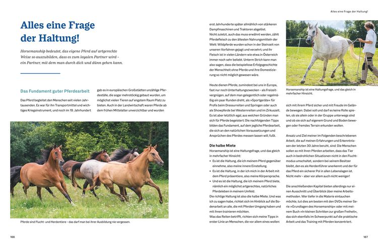 Produktbild: Der Pferdeversteher