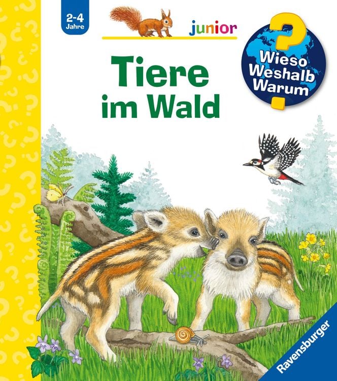 Produktbild: Wieso? Weshalb? Warum? junior, Band 77 - Tiere im Wald