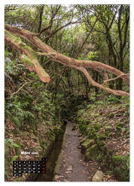 Produktbild: Levadas - Wasserwege auf Madeira (Wandkalender 2026 DIN A2 hoch), CALVENDO Monatskalender