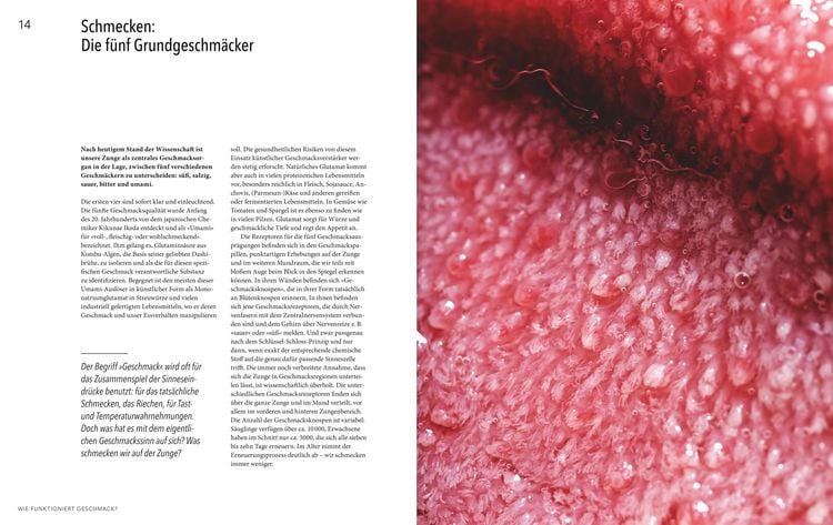 Produktbild: Abenteuer Geschmack!