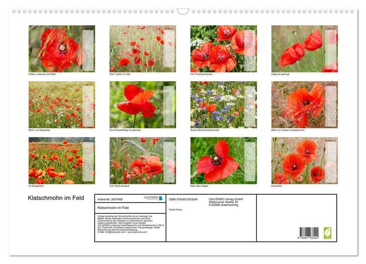 Produktbild: Klatschmohn im Feld (Wandkalender 2026 DIN A2 quer), CALVENDO Monatskalender