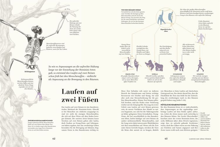 Produktbild: HUMANS. Der Mensch