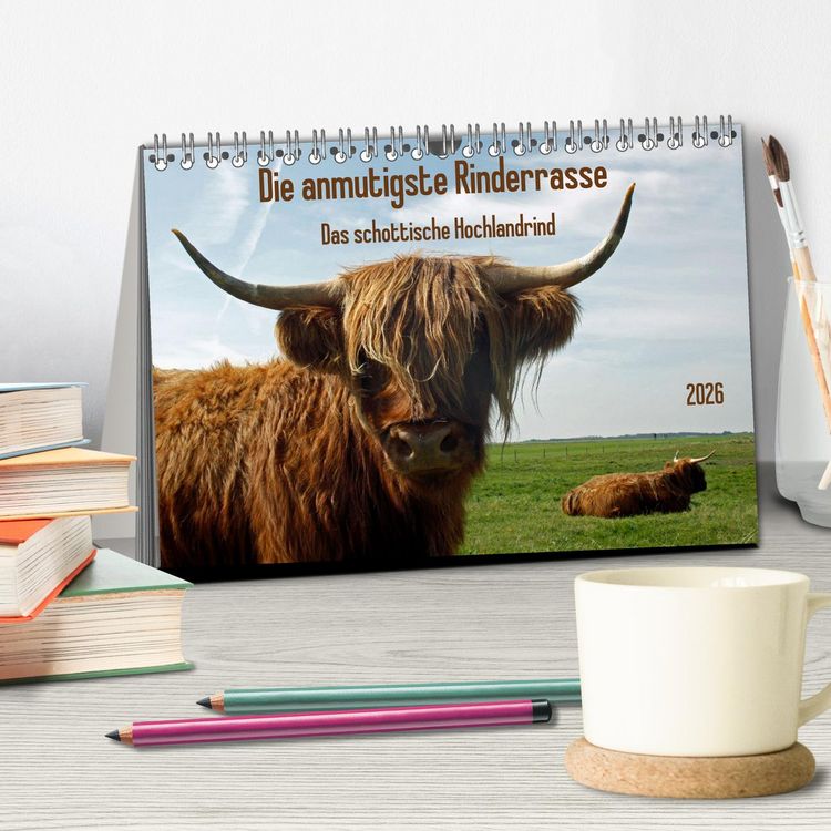 Produktbild: Die anmutigste Rinderrasse - Das schottische Hochlandrind (Tischkalender 2026 DIN A5 quer), CALVENDO Monatskalender