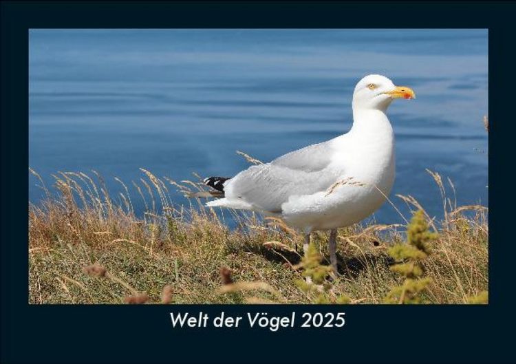 Produktbild: Welt der V&ouml;gel 2025 Fotokalender DIN A5