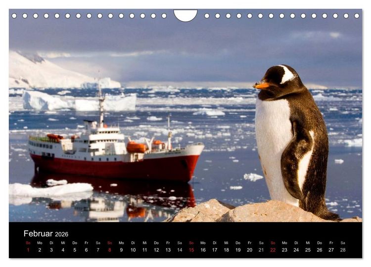 Produktbild: Arktis und Antarktis (Wandkalender 2026 DIN A4 quer), CALVENDO Monatskalender