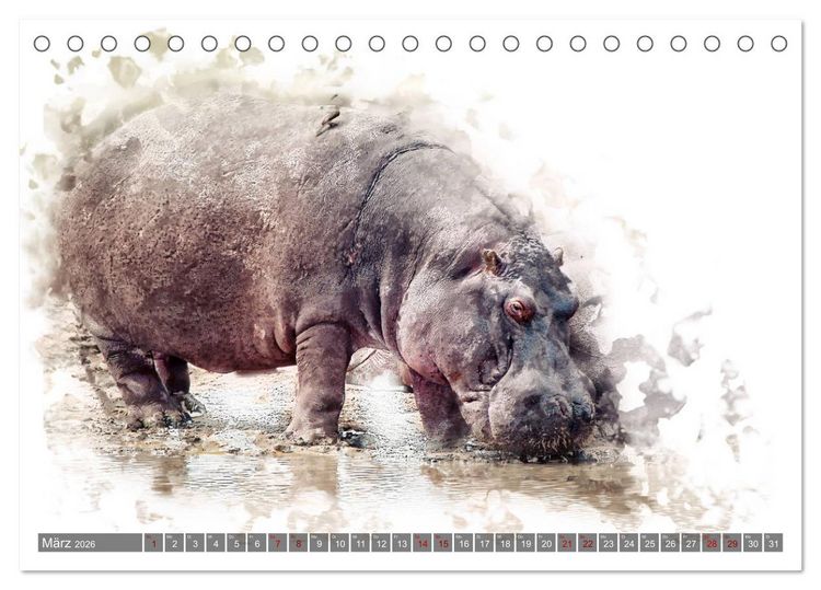 Produktbild: Tierportraits - Fine Art (Tischkalender 2026 DIN A5 quer), CALVENDO Monatskalender
