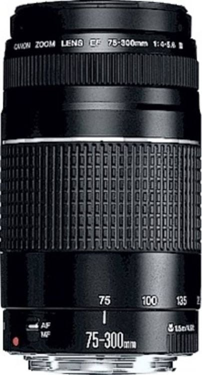 Canon EF DC 4,0-5,6/75-300 III 6473A015 Zoom-Objektiv kaufen
