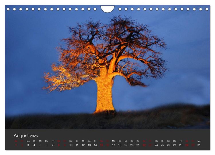 Produktbild: S&uuml;dafrika - Einzigartige Natursch&ouml;nheit (Wandkalender 2026 DIN A4 quer), CALVENDO Monatskalender