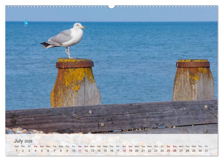 Produktbild: Eastbourne 2026 (High Quality Premium Wall Calendar 2026 DIN A2 landscape),CALVENDO 12 Month Wall Calendar