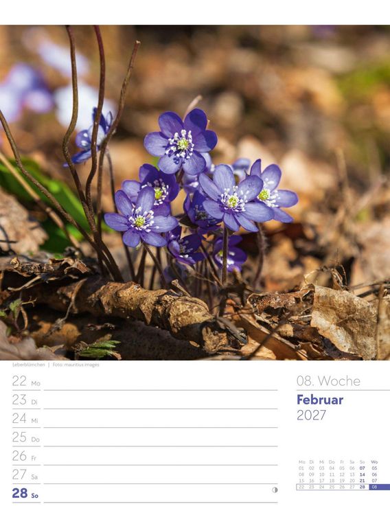 Produktbild: Unser Wald Wochenplaner Kalender 2027
