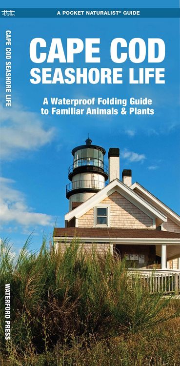 Produktbild: Cape Cod Seashore Life, 2nd Ed