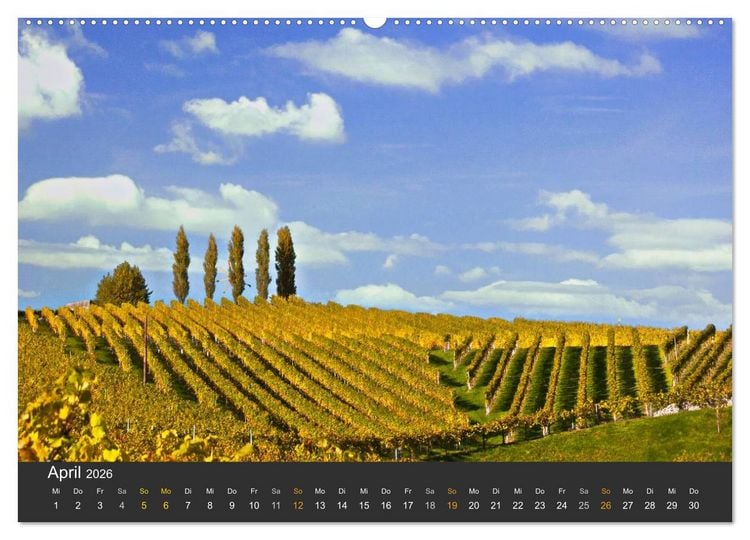 Produktbild: Die S&uuml;dsteirischen Weinstrasse (Wandkalender 2026 DIN A2 quer), CALVENDO Monatskalender