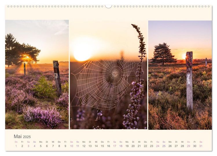 Mehlinger Heide (Wandkalender 2025 DIN A2 quer), CALVENDO Monatskalender