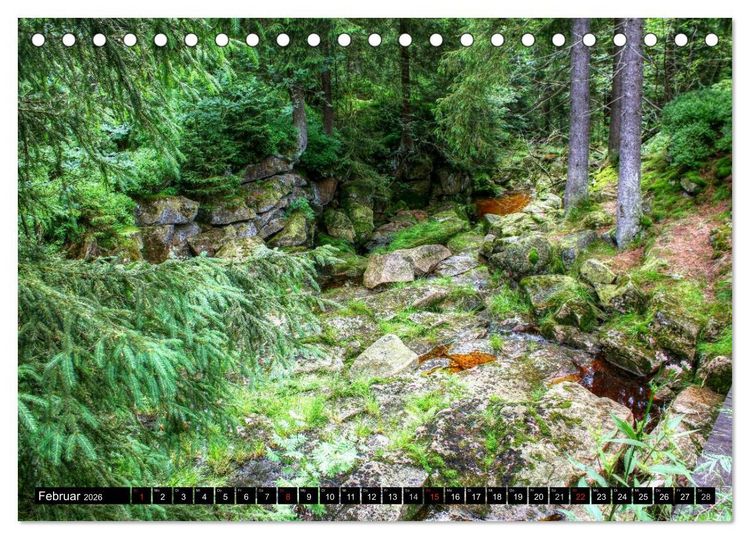 Produktbild: Verzauberter Harz (Tischkalender 2026 DIN A5 quer), CALVENDO Monatskalender