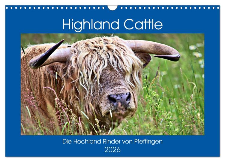 Produktbild: Highland Cattle, die Hochlandrinder aus Pfeffingen (Wandkalender 2026 DIN A3 quer), CALVENDO Monatskalender