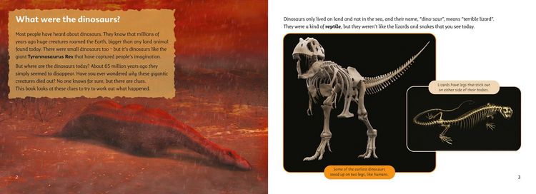Produktbild: What Happened to the Dinosaurs?