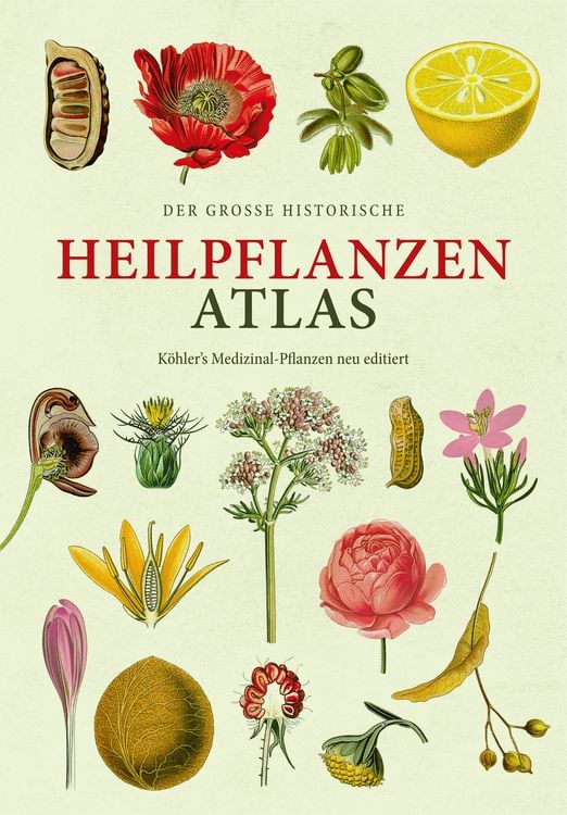 Produktbild: Der große Heilpflanzen-Atlas
