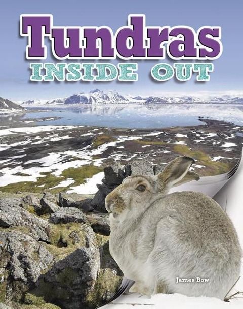 Produktbild: Tundras Inside Out