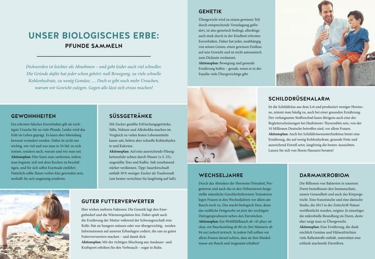 Produktbild: Dr. Riedls 20:80 Expressk&uuml;che