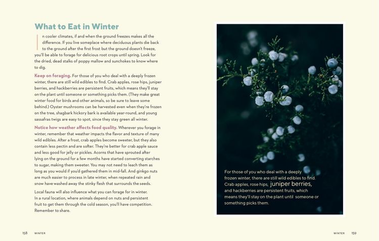 Produktbild: How to Forage for Wild Foods Without Dying Journal