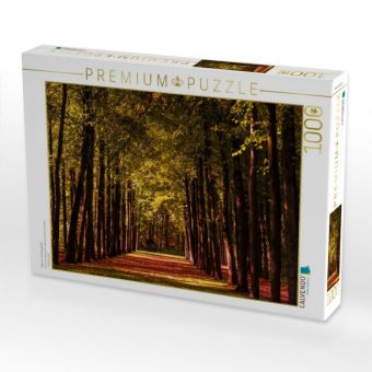 Produktbild: CALVENDO Puzzle Allee im Schlossgarten | 1000 Teile Lege-Gr&ouml;&szlig;e 64x48cm Foto-Puzzle f&uuml;r gl&uuml;ckliche Stunden