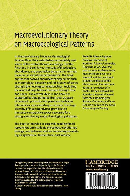 Produktbild: Macroevolutionary Theory on Macroecological Patterns