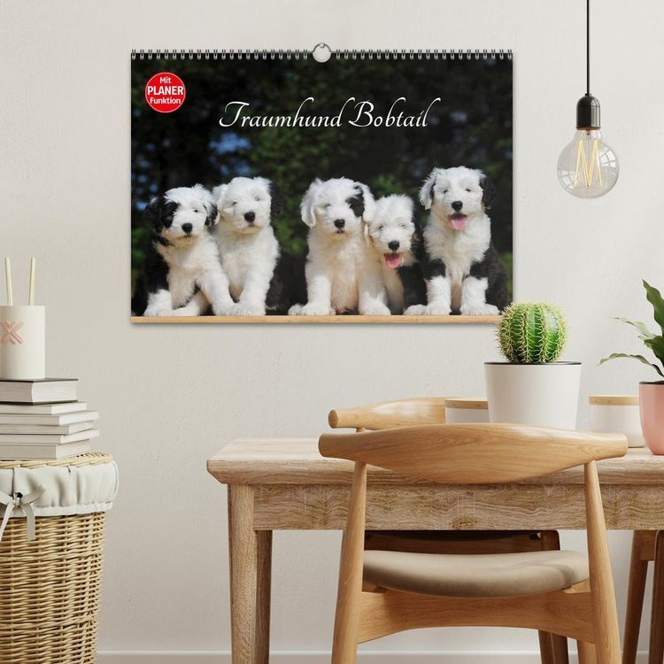 Produktbild: Traumhund Bobtail (Wandkalender 2026 DIN A3 quer), CALVENDO Monatskalender