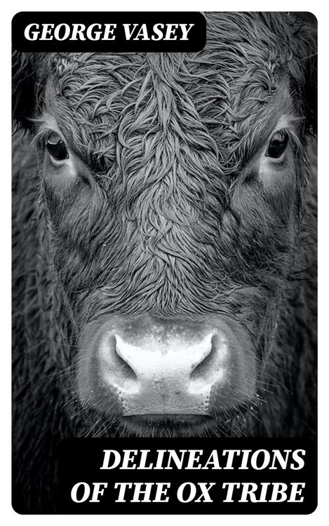 Produktbild: Delineations of the Ox Tribe