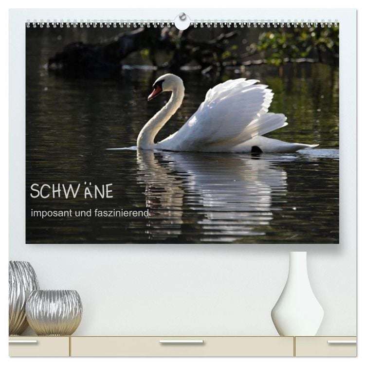 Produktbild: Schw&auml;ne - imposant und faszinierend (hochwertiger Premium Wandkalender 2026 DIN A2 quer), Kunstdruck in Hochglanz