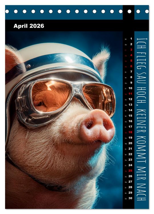 Produktbild: Coole Sau - Lustiger Spr&uuml;che Kalender mit witzigen Schweinchen (Tischkalender 2026 DIN A5 hoch), CALVENDO Monatskalender