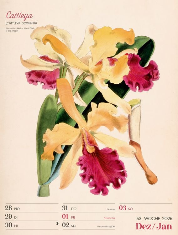 Produktbild: Ars Floralis Wochenplaner Kalender 2027